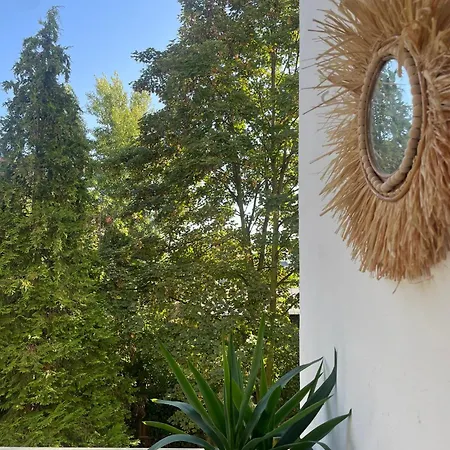 Apartman Soul-apartment Balkon Privatparkplatz 2 Boxspringbetten 55zoll Tv Wlan Lipcse